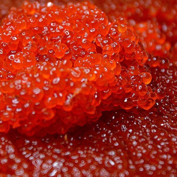 Smoked Steelhead Trout Roe-Подкапчёная Икра Форели/0.5lb - Image 2