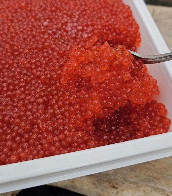 Sockeye Salmon Caviar-Икра Дикой Нерки/2.2lb - Image 4